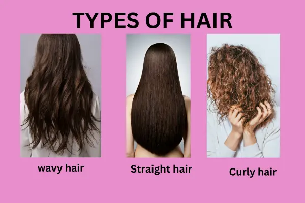 Types of hair