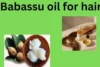 Babassu Oil for Hair: Benefits, Uses, and Buying Guide - Post Thumbnail
