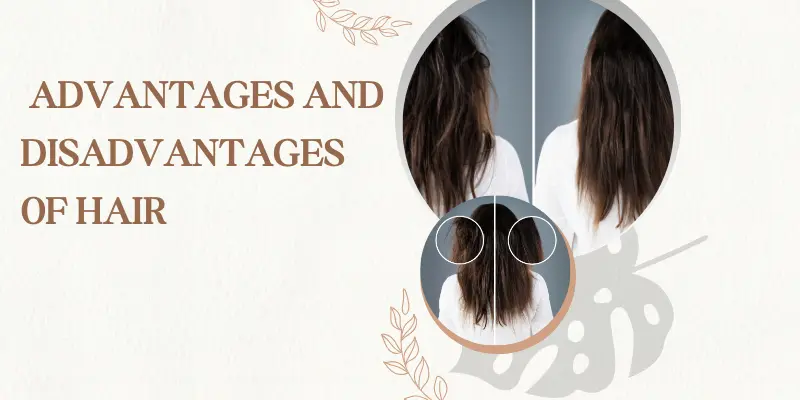 Visual Comparison Of The Advantages And Disadvantages Of Hair, Highlighting Healthy Hair Benefits Versus Common Hair-Related Issues.