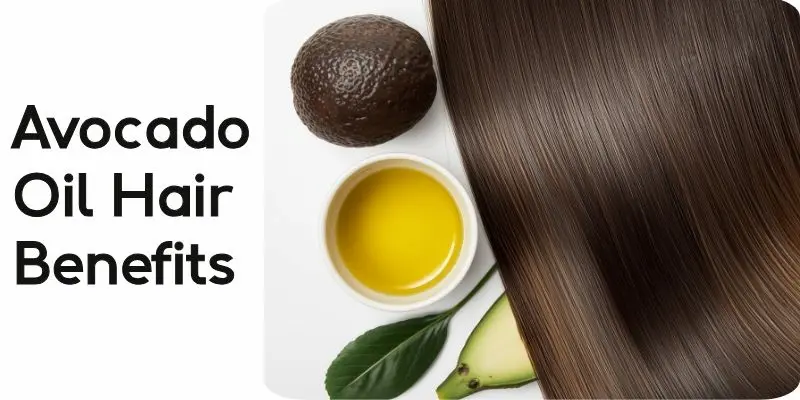 Avocado Oil Hair Benefits For Moisture Shine And Softness