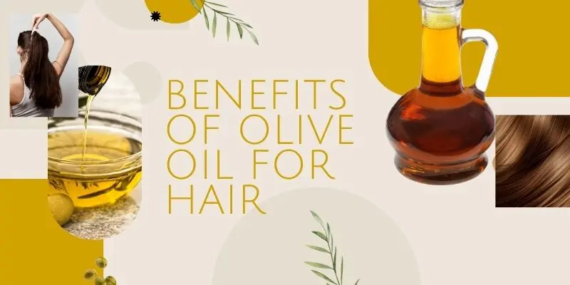 Benefits Of Olive Oil For Hair Including Softness Shine And Smooth Ends