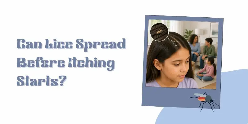 Head Lice Can Spread Before Itching Starts