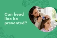 Can Head Lice Be Prevented? Learn 9 Proven Ways to Lower the Risk