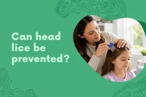 Can Head Lice Be Prevented? Learn 9 Proven Ways to Lower the Risk