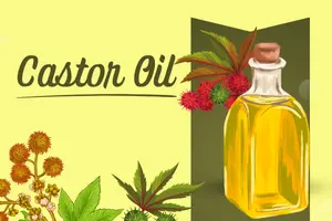 Castor Oil for Hair- Benefits,Uses,and Everything You Need to Know