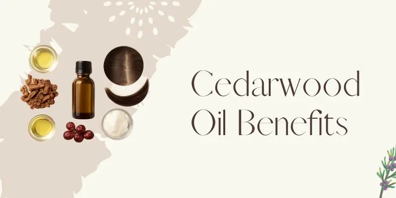 Cedarwood Oil Benefits Potential Cedarwood Oil Benefits For Hair And Scalp