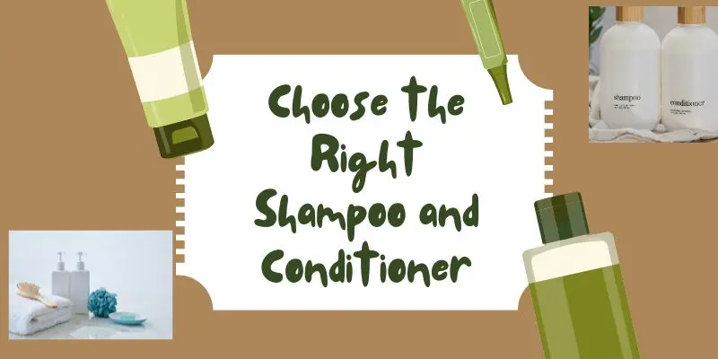Shampoo ingredients like tea tree oil, salicylic acid, aloe vera, and coconut oil for treating dry scalp