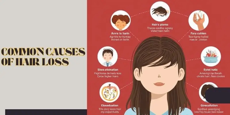 Common Causes Of Hair Loss Common Causes Of Hair Loss Including Stress, Genetics, Hormones, Diet, And Scalp Conditions