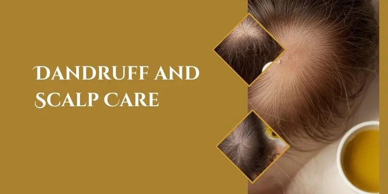 Olive Oil For Hair Dandruff And Scalp Care Shown With A Close-Up Of Scalp And Hair Roots