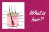What is Hair? Differences between Natural Hair and Human Hair - Post Thumbnail