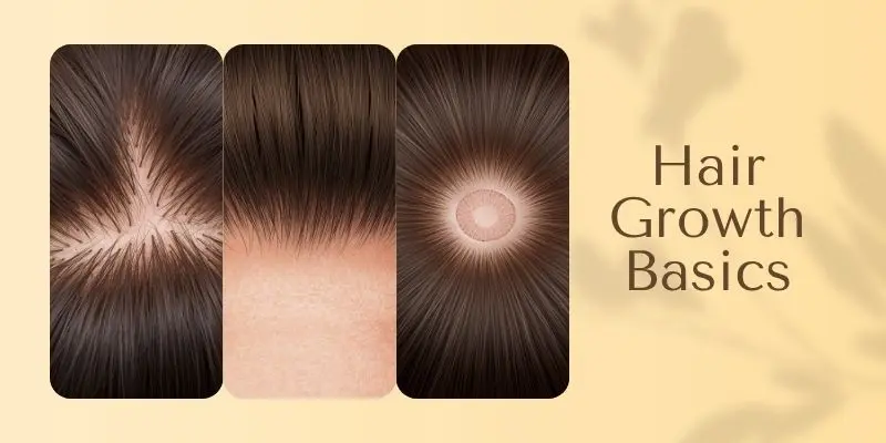Hair Growth Cycle And Scalp Health