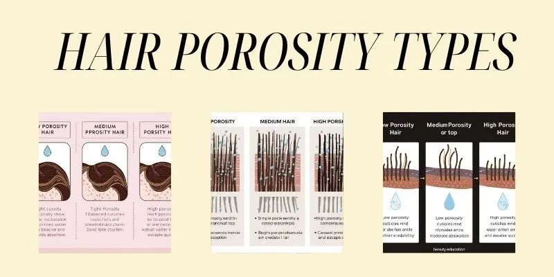 Hair Porosity Types Including Low Porosity Hair, Medium Porosity Hair, And High Porosity Hair