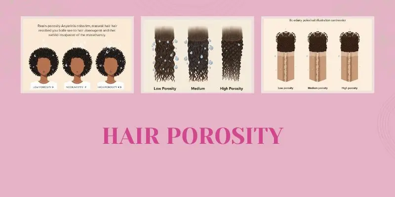Hair Porosity For Black Hair Showing How Natural Hair Absorbs And Holds Moisture