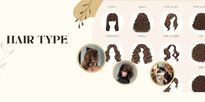 Hair Type Chart Showing The Types Of Hair From 1A To 4C