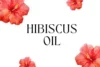Hibiscus Oil for Hair Growth: Proven Benefits, Smart Uses, and Expert Tips - Post Thumbnail