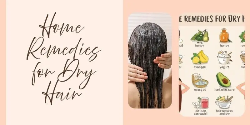 Home Remedies For Dry Hair Natural Home Remedies For Dry Hair Including Honey Hair Masks, Coconut Oil, And Aloe Vera