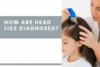 How Are Head Lice Diagnosed? 7 Easy Steps to Check at Home - Post Thumbnail
