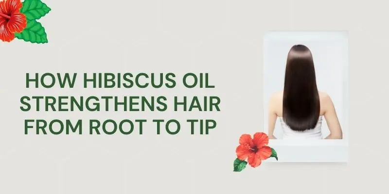 Hibiscus for Hair Growth