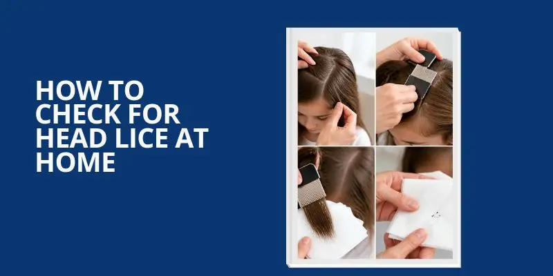 Using A Fine-Toothed Lice Comb To Check For Head Lice