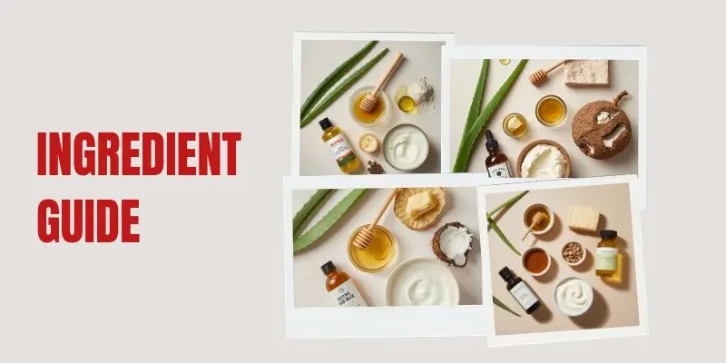 Ingredient Guide Curly Hair Mask Ingredients Like Aloe Vera Honey Shea Butter And Argan Oil