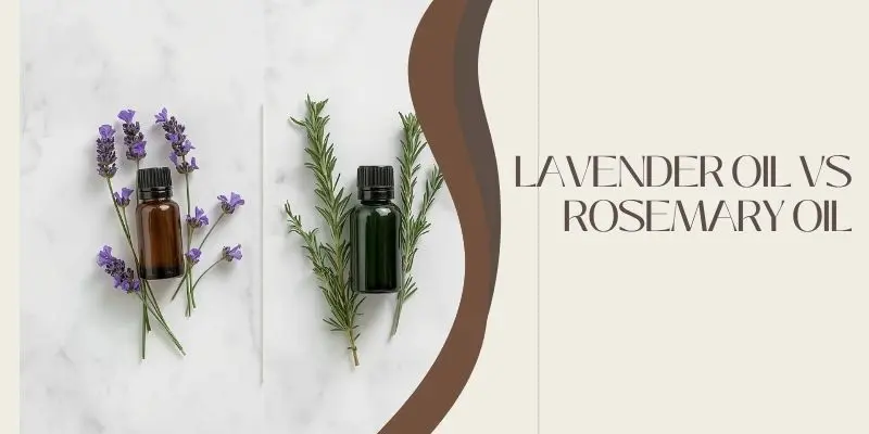 Lavender Oil Vs Rosemary Oil Side By Side Comparison Of Lavender Oil And Rosemary Oil For Hair Growth And Scalp Health Treatment
