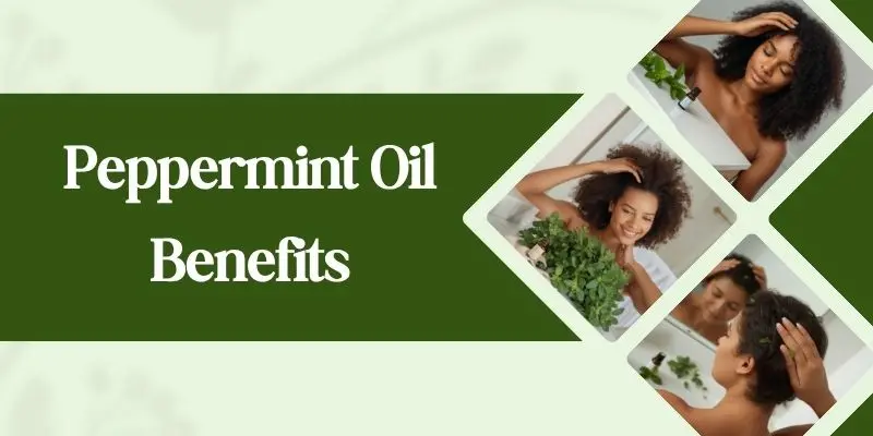 Peppermint Oil Benefits Peppermint Oil Benefits For Hair And Scalp Care