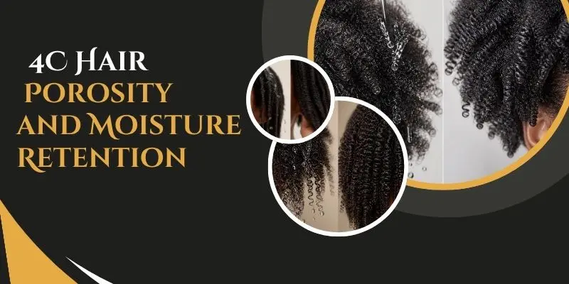 4C Hair Moisture Absorption And Moisture Retention