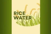 Rice Water for Hair: What It Really Does, Surprising Benefits & Expert Tips