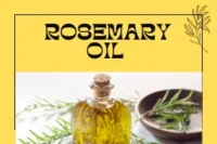 Add Rosemary Oil: The Natural Secret to Thicker, Healthier Hair Backed by Science