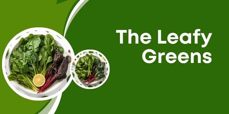 Best Leafy Green Vegetables For Healthy Hair: Spinach, Kale, And Swiss Chard Rich In Iron