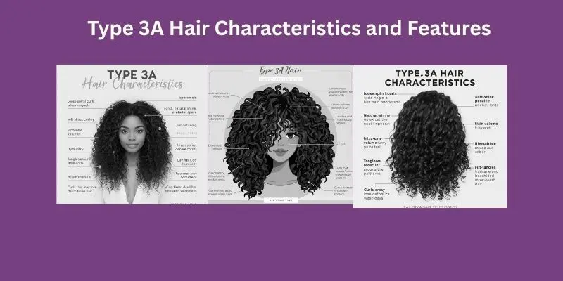 Type 3A Hair Characteristics With Loose Curls Frizz And Dry Ends