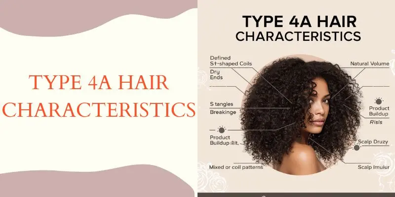 Type 4A Hair Characteristics With Defined Coils Dryness And Shrinkage