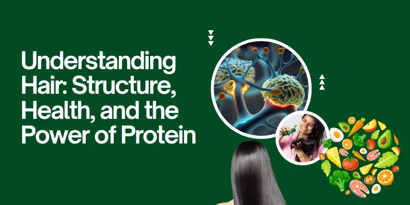 Protein for Hair