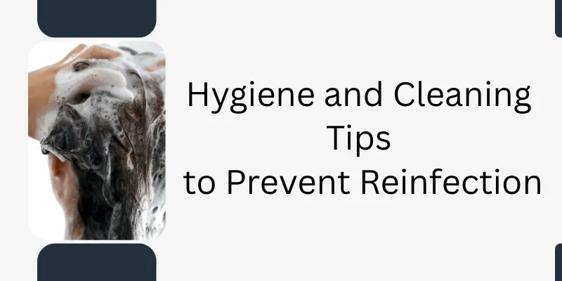 Understanding The Head Lice Life Cycle 1 Follow Hygiene And Cleaning Tips To Remove Lice Effectively And Prevent Them From Coming Back In Your Home Or Hair.