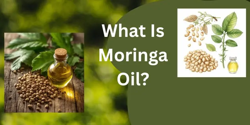 Pure Moringa Oil For Hair Made From Moringa Oleifera Seeds