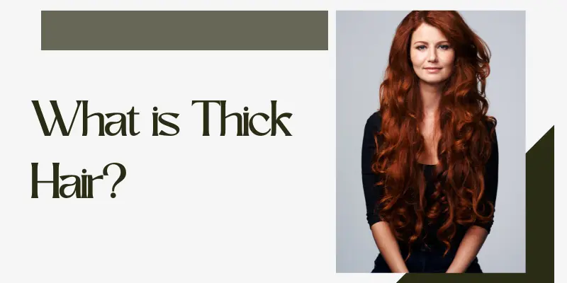 What Is Thick Hair Close-Up Of Voluminous Strands – Thick Hair Care Tips