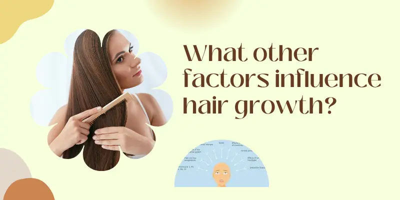 What Other Factors Influence Hair Growth What Other Factors Influence Hair Growth Besides Using Fenugreek Seeds For Hair, Including Diet, Stress Levels, Genetics, And Overall Scalp Health.