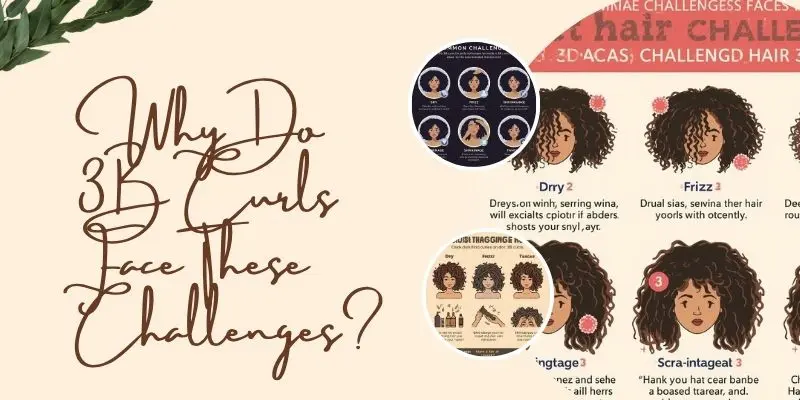 Why Do 3B Curls Face These Challenges Explanation Of Why 3B Curls Face Challenges Like Frizz, Dryness, And Breakage Due To Their Unique Curl Structure And Porosity.