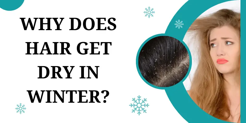 Why Does Hair Get Dry In Winter Prevent Dry Hair In Winter
