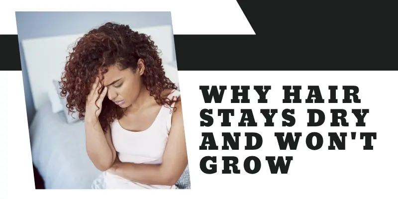 Why Hair Stays Dry And Wont Grow Visual Representation Of Common Hair Issues With Added Hair Growth Tips, Showing How Dryness, Breakage, And A Dry Scalp Can Affect Hair Growth And What To Do To Promote Healthier Hair.