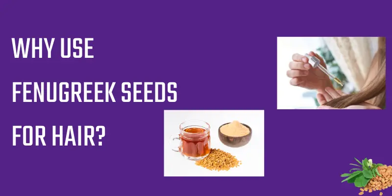 Why Use Fenugreek Seeds For Hair Why Use Fenugreek Seeds For Hair – Highlighting The Benefits Of Fenugreek Seeds For Hair Growth, Reducing Dandruff, And Strengthening Roots Naturally