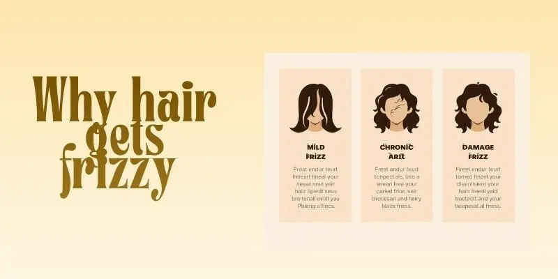 Why Hair Gets Frizzy Diagram Showing Three Frizz Levels From Mild To Severe With Simple Hair Cuticle Visuals