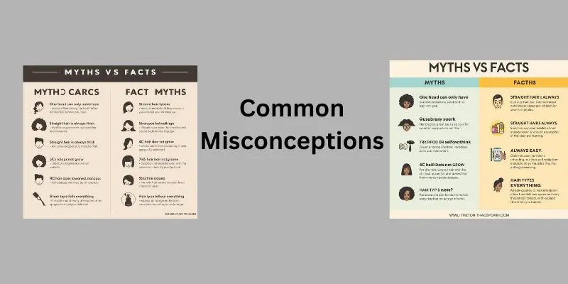 Myths And Facts About The Types Of Hair Explained In A Simple Infographic