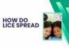 How Do Lice Spread? Understanding Transmission, Risks, and Prevention - Post Thumbnail