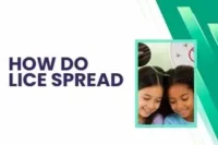 How Do Lice Spread? Understanding Transmission, Risks, and Prevention