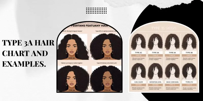 Type 2C Vs 3A Vs 3B Vs 3C Hair Comparison Chart
